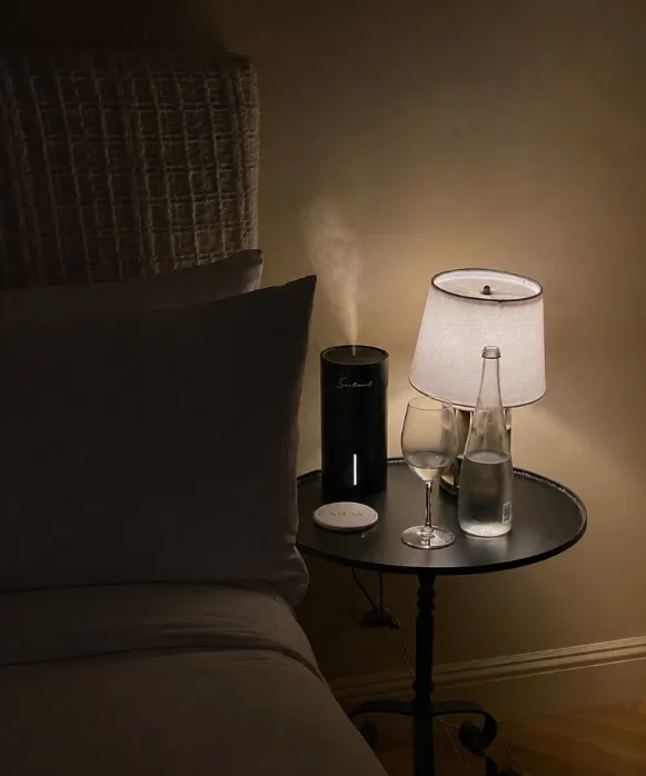 Scentiment Scent Diffuser in my room